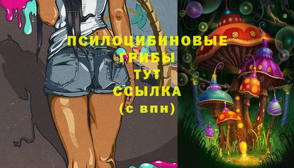 МДМА Козловка